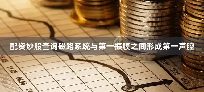 配资炒股查询磁路系统与第一振膜之间形成第一声腔
