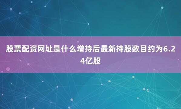 股票配资网址是什么增持后最新持股数目约为6.24亿股