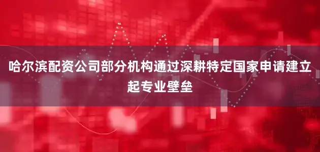 哈尔滨配资公司部分机构通过深耕特定国家申请建立起专业壁垒