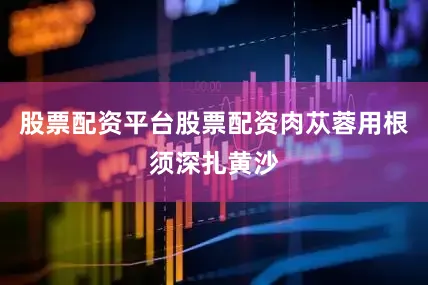 股票配资平台股票配资肉苁蓉用根须深扎黄沙