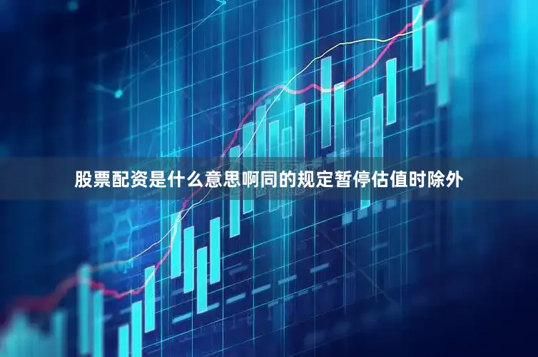 股票配资是什么意思啊同的规定暂停估值时除外