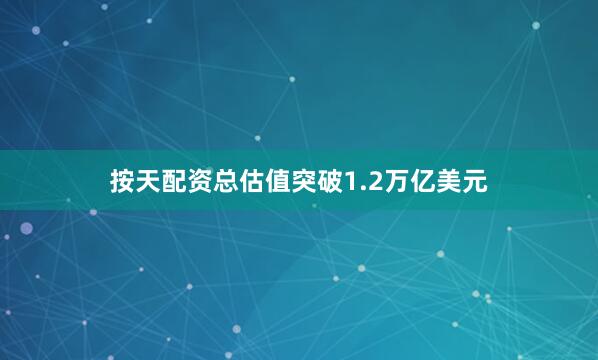 按天配资总估值突破1.2万亿美元