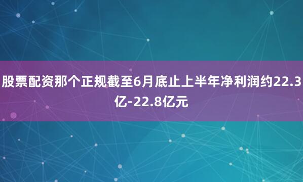 股票配资那个正规截至6月底止上半年净利润约22.3亿-22.8亿元