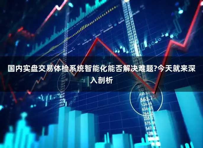 国内实盘交易体检系统智能化能否解决难题?今天就来深入剖析