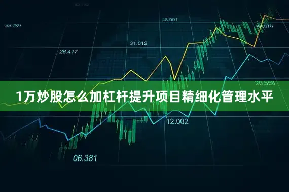 1万炒股怎么加杠杆提升项目精细化管理水平